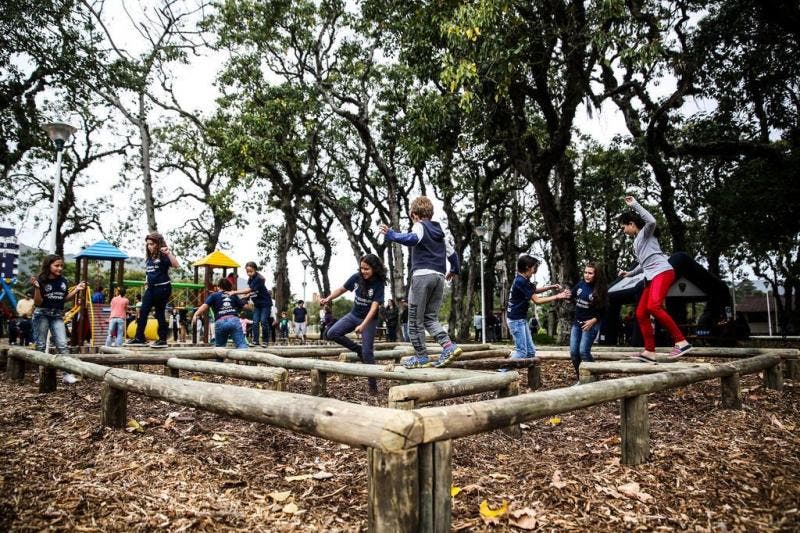 Jardim Botânico de Florianópolis é oficialmente aberto NSC Total