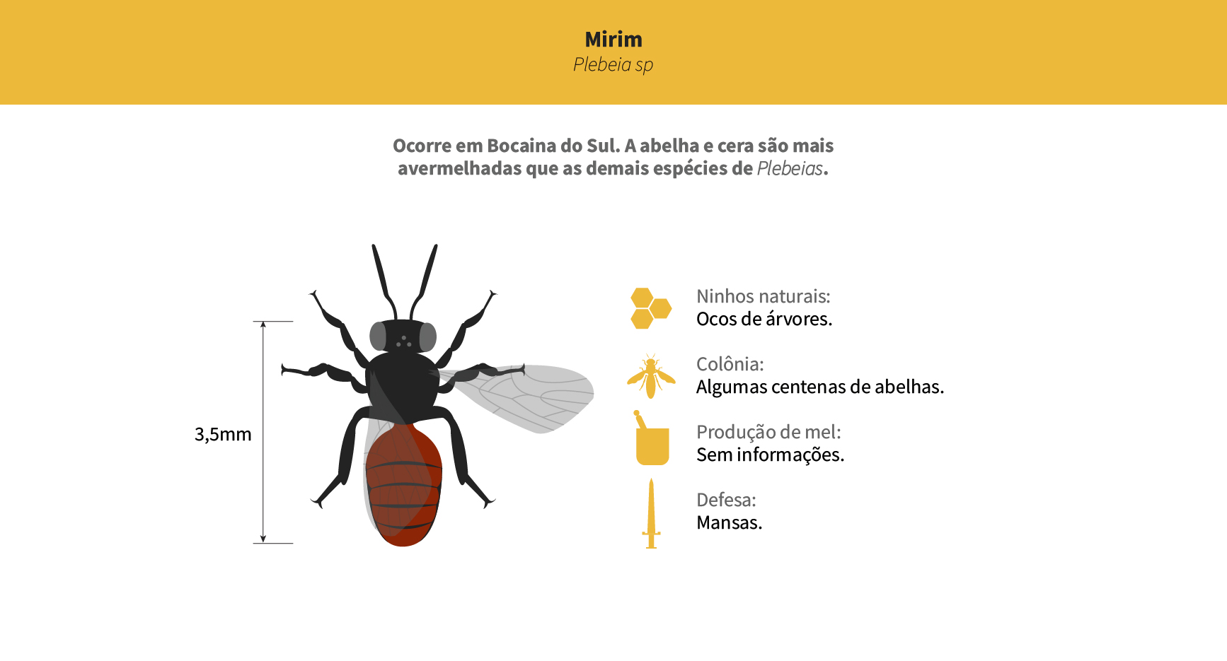 Mirim