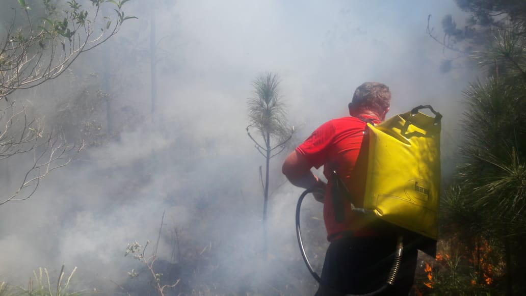 Bombeiros combatem o fogo em terra e também pelo ar, com a ajuda de helicóptero Bombeiros combatem o fogo em terra e também pelo ar, com a ajuda de helicóptero