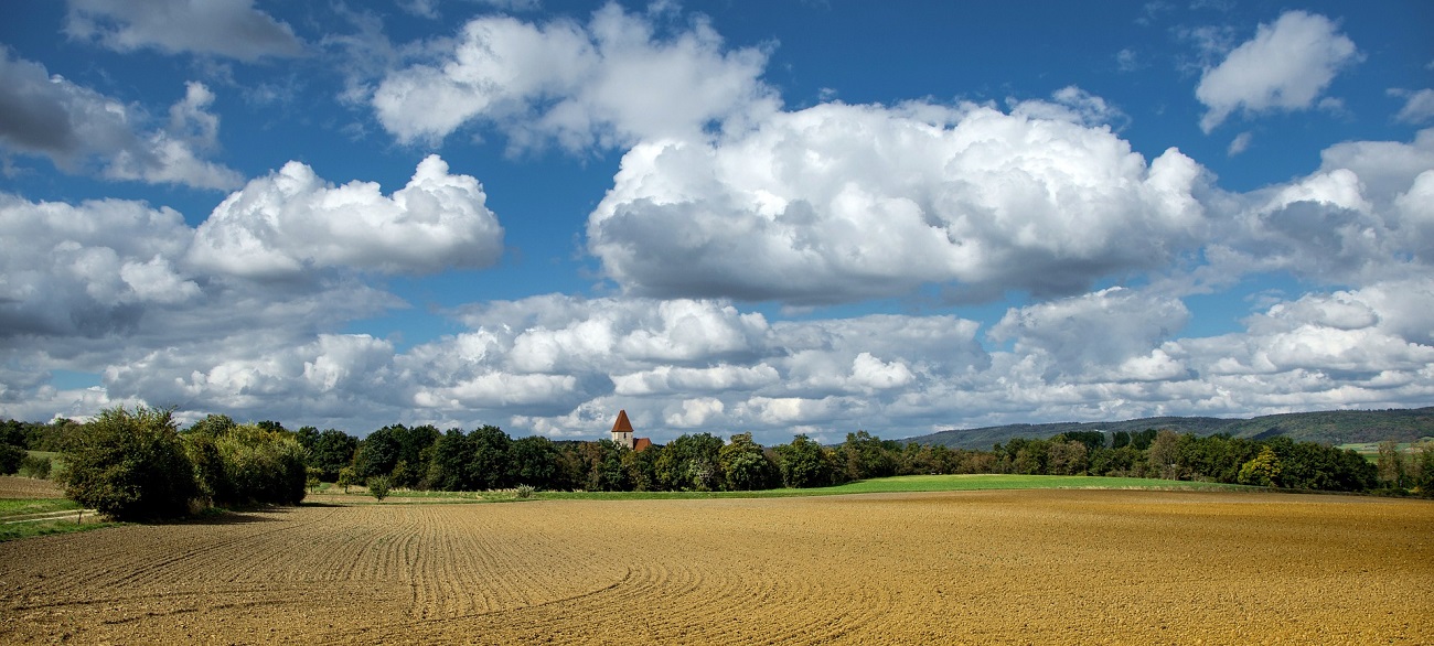 Agroindústria - Investe Mais - NSC