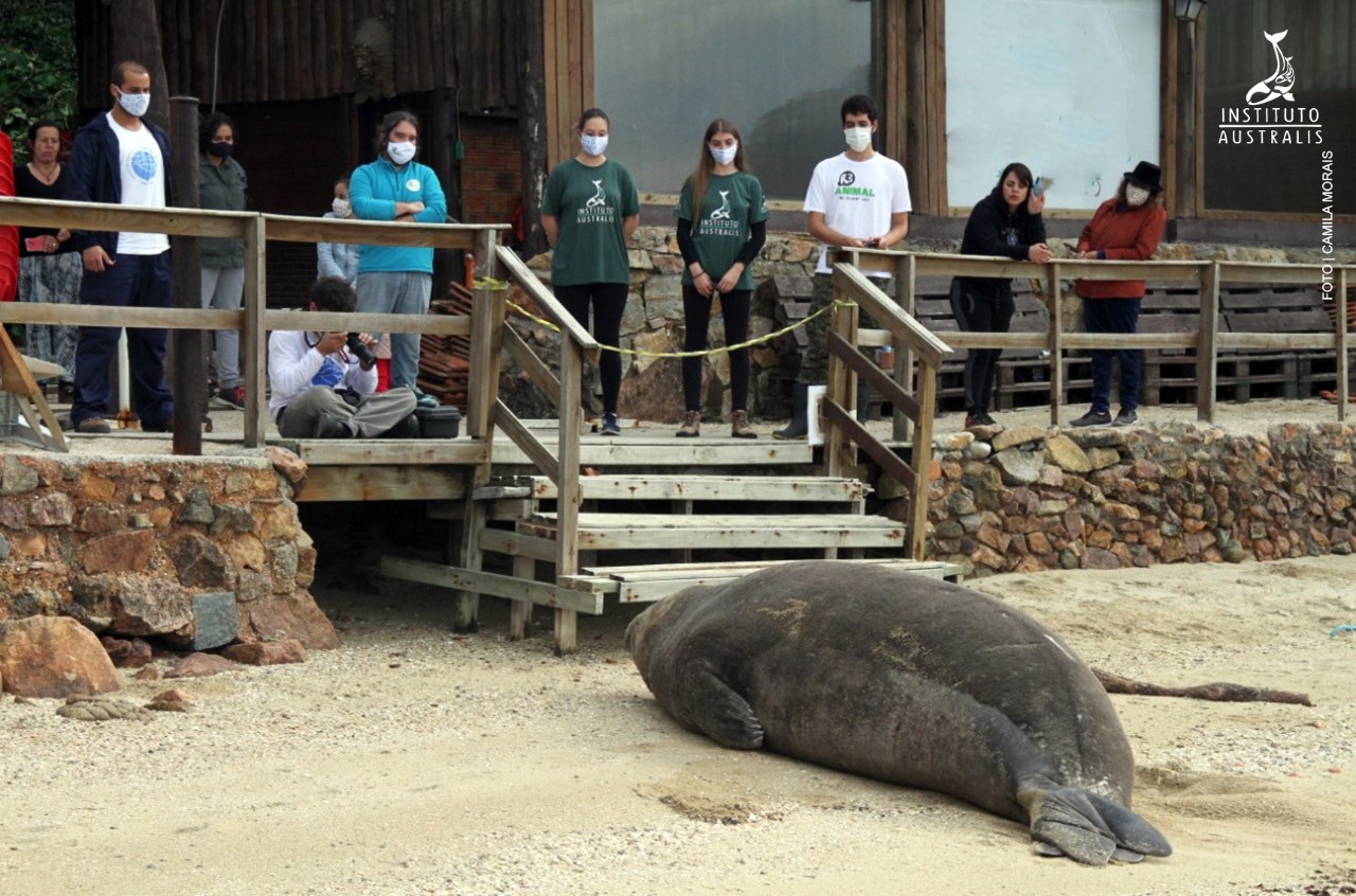 Presença do animal chamou atenção de técnicos e de quem estava no local Presença do animal chamou atenção de técnicos e de quem estava no local