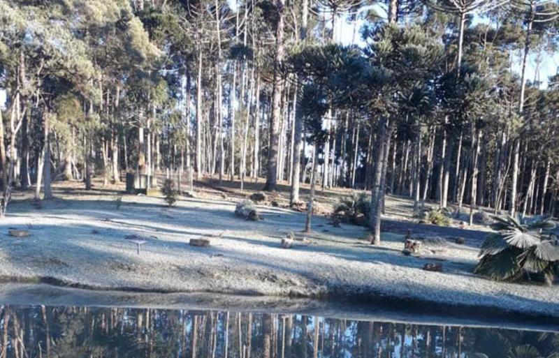 Em Campo Alegre, no Norte de SC,gramado ficou branquinho EcoFrut Orgânicos