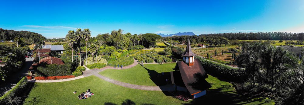Girassóis se transformaram em atração turística durante a florada Girassóis se transformaram em atração turística durante a florada