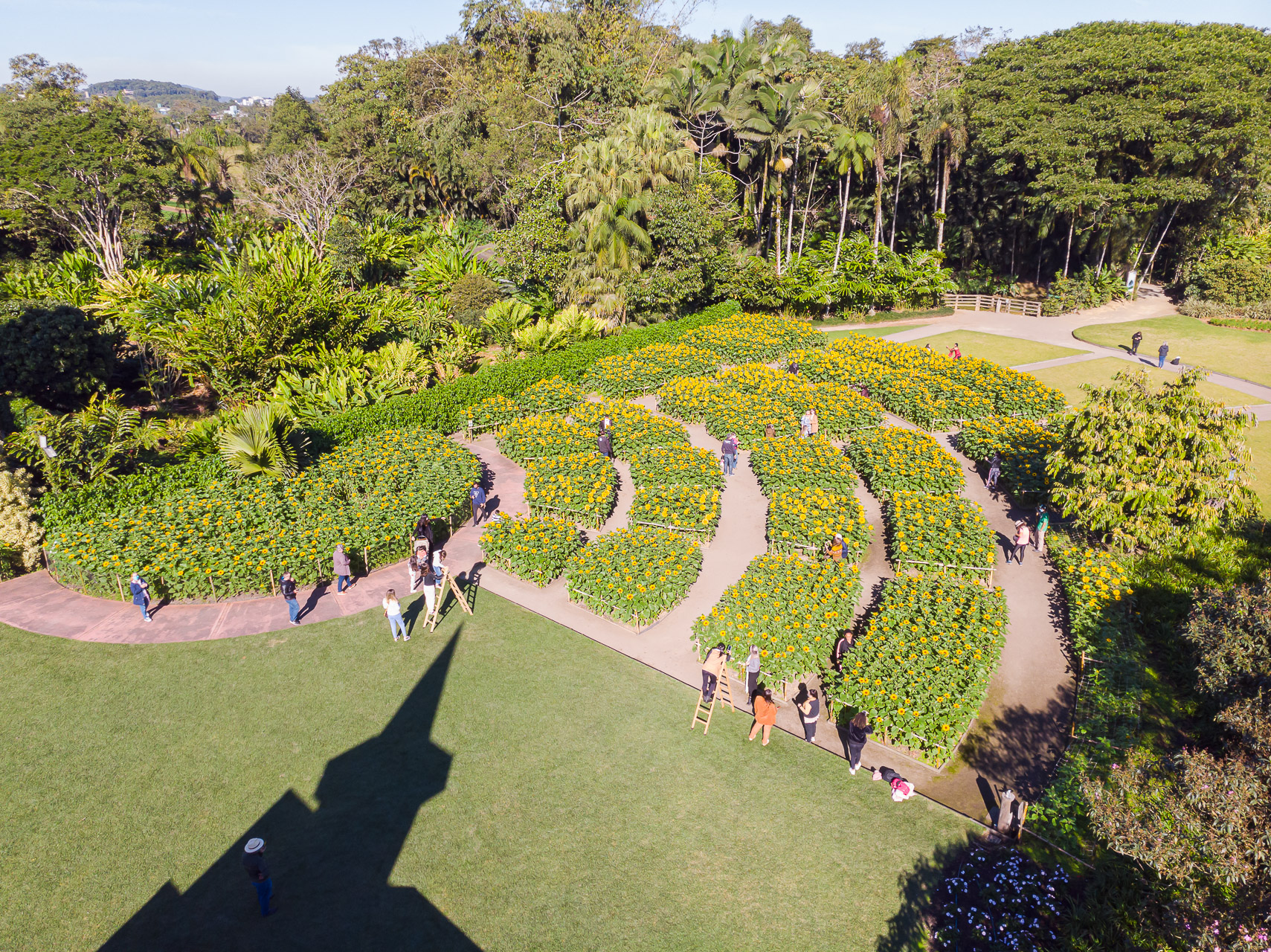 Até terça-feira, conforme reportagem de AN, mais de 6 mil pessoas haviam visitado o espaço Até terça-feira, conforme reportagem de AN, mais de 6 mil pessoas haviam visitado o espaço
