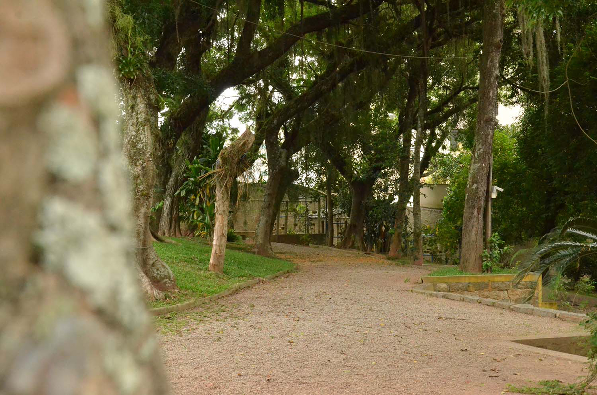 Um diferencial importante do Colégio Catarinense são os seus espaços aberto, entre eles, as áreas verdes