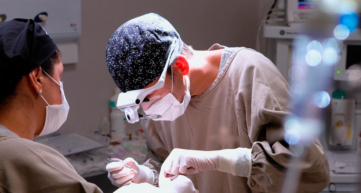 Hospital está equipado com tecnologia de ponta.