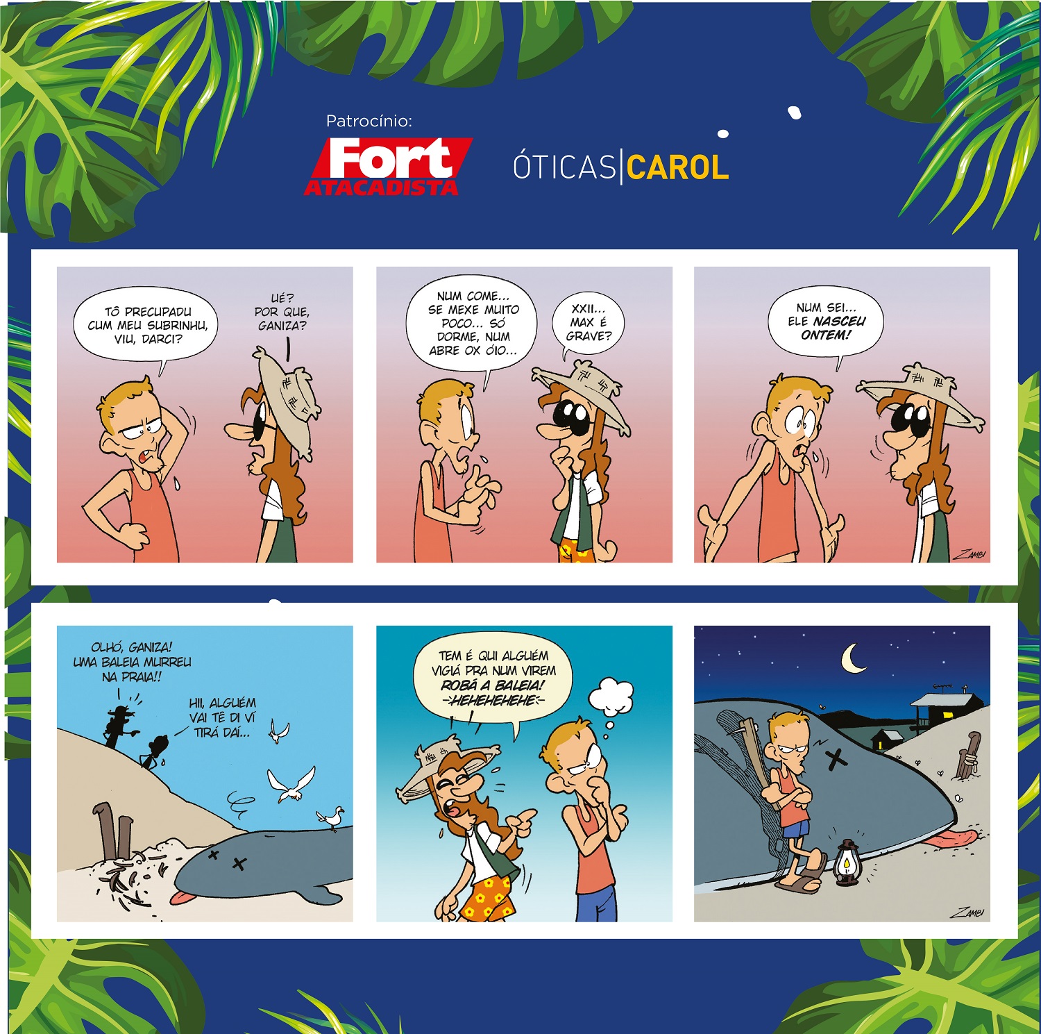 As Aventuras de Darci As Aventuras de Darci