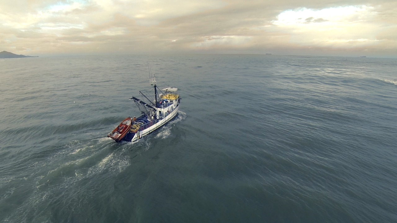 Atividade pesqueira é destaque em SC Santa Catarina ocupa o 15ª lugar no ranking de potencial de consumo de pescados