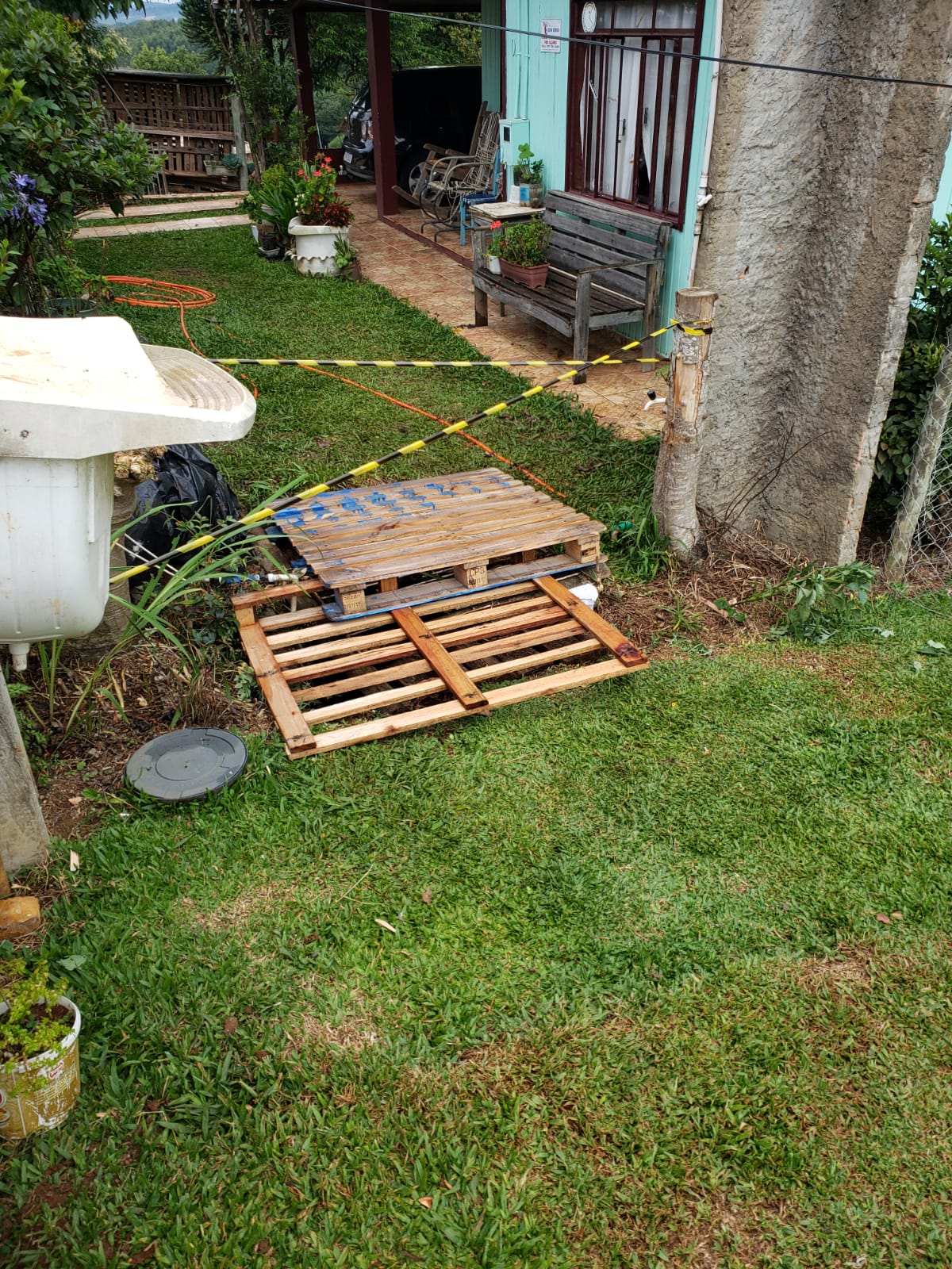 Animal foi resgado nesta segunda-feira (13)