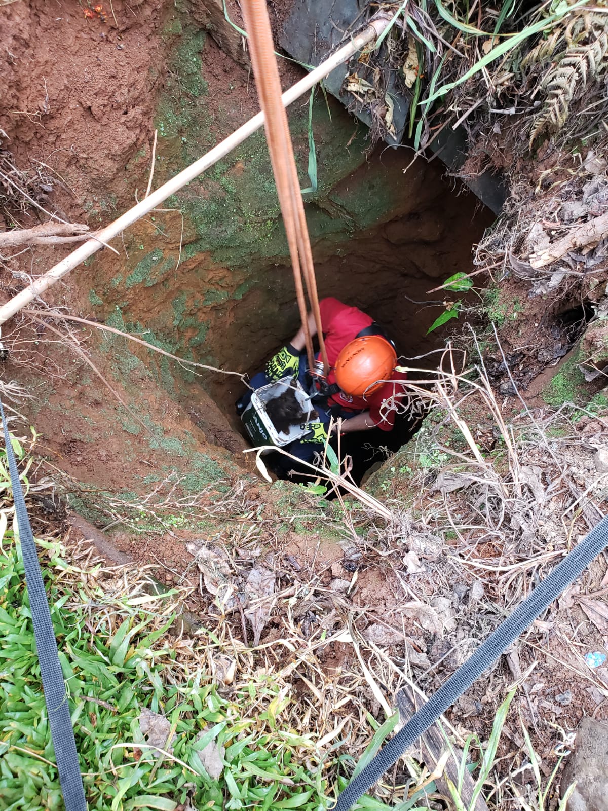 Um bombeiro desceu até o fundo para conseguir pegá-lo