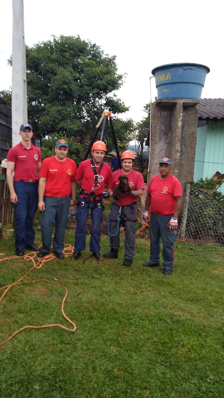 O cachorro foi devolvido à família