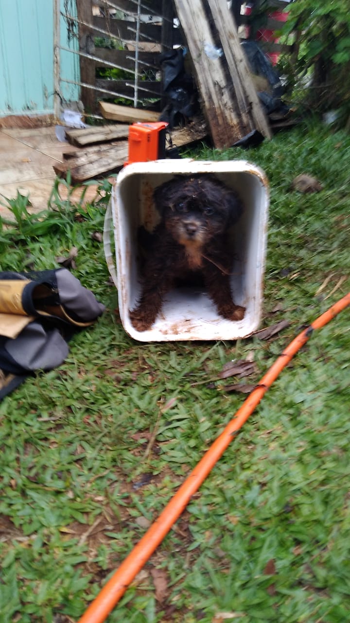 O local onde ele estava foi isolado pelos bombeiros