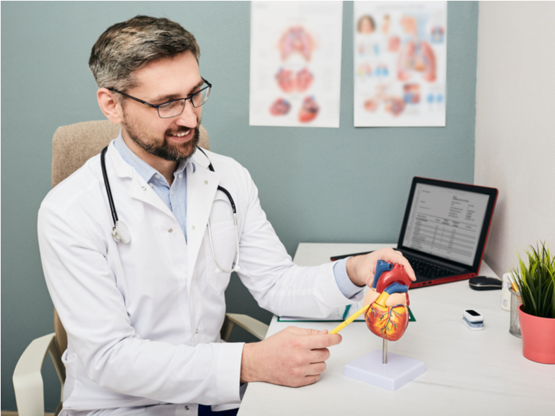 A prevenção pode ser feita por meio de consultas regulares ao médico Médico cardiologista apontando para uma figura de um coração humano. Na mesa possui um notebook aberto e um vaso de planta