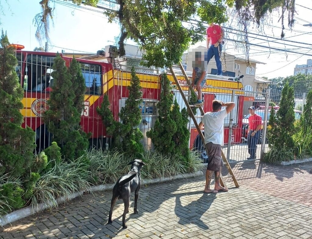 Cachorro acompanhou o resgate do dono Cachorro acompanhou o resgate do dono