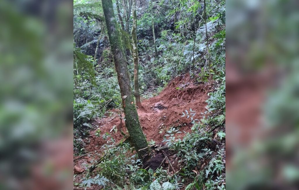 Corpo foi localizado no domingo  Corpo foi localizado no domingo