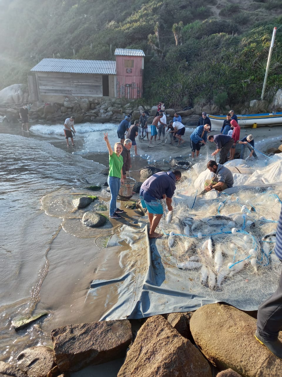 Desmalhe do peixe da rede de pesca Desmalhe do peixe da rede de pesca