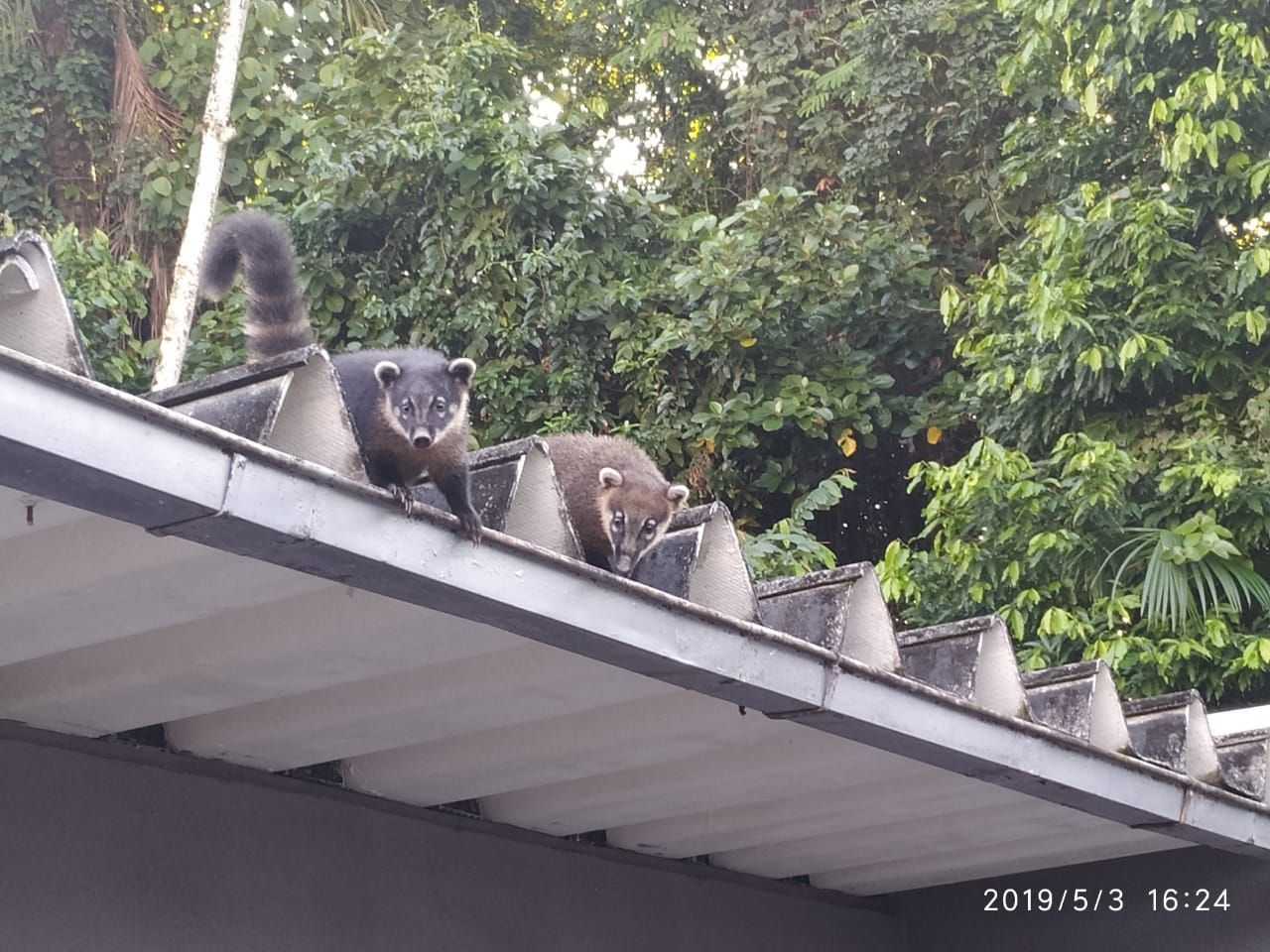 Arquivo pessoal