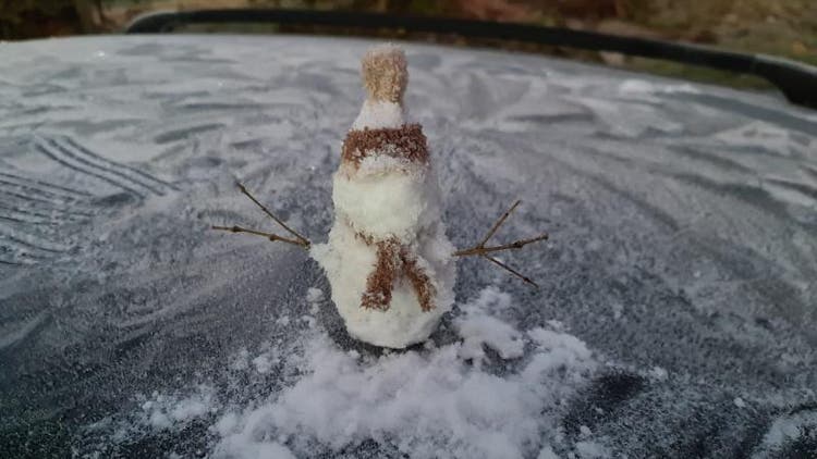 Famoso boneco de Geada - Geanildo Famoso boneco de Geada - Geanildo