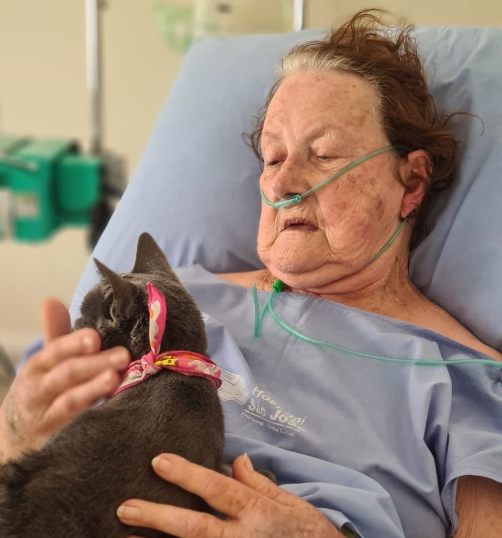 Idosa recebeu visita de gata de estimação em hospital