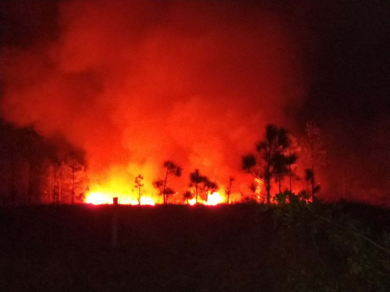 Linha de fogo se formou na área do parque up