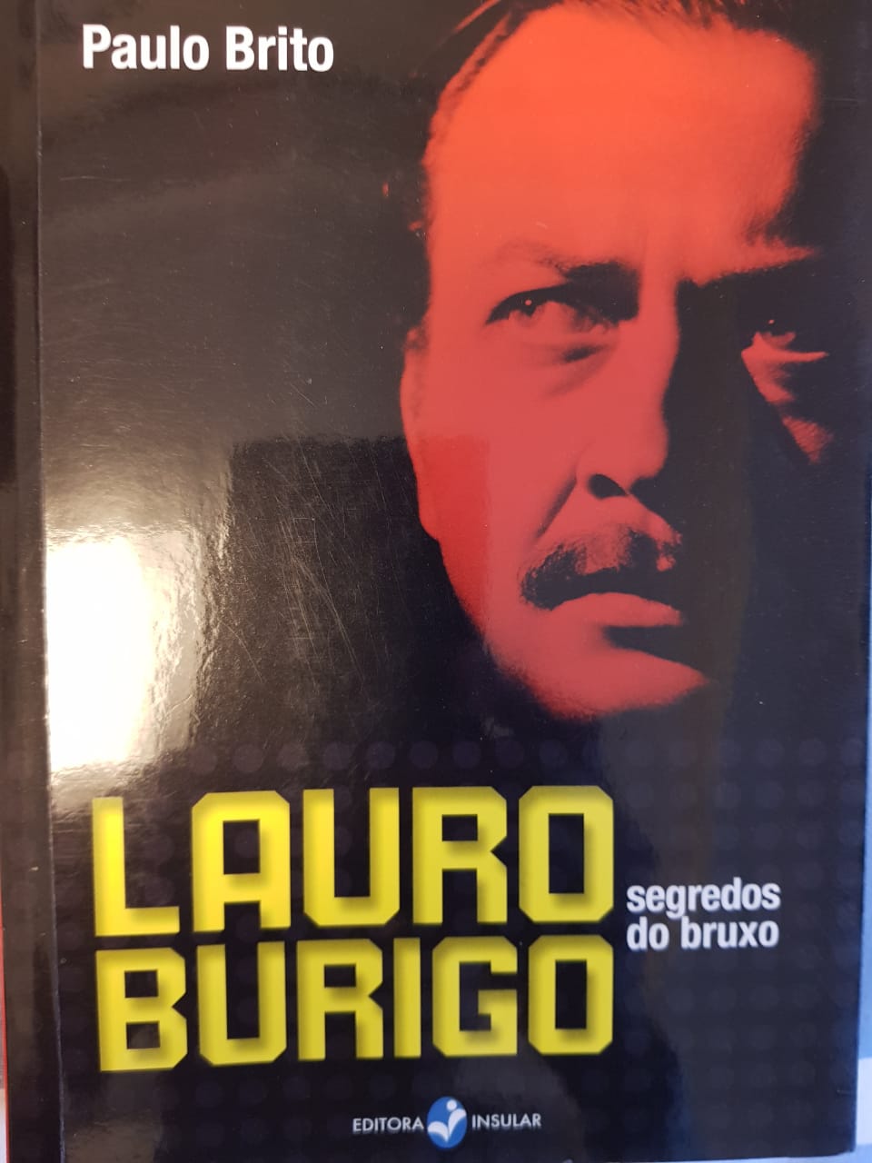 Livro Lauro Búrigo