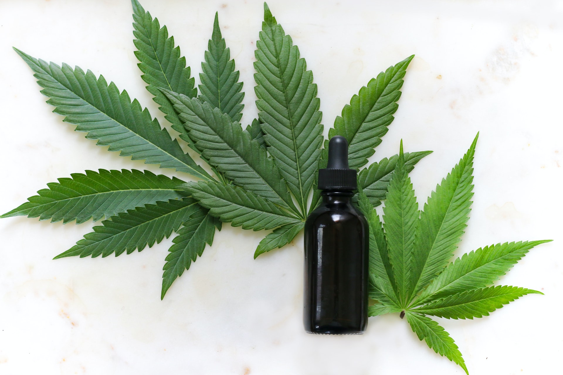 Cerca de 20 mil pacientes no Brasil obtêm cannabis medicinal hoje por meio da importação Cerca de 20 mil pacientes no Brasil obtêm cannabis medicinal hoje por meio da importação