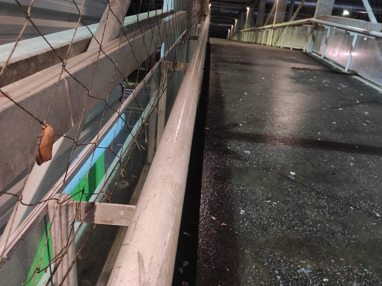 Mariposas na passarela que liga a Vila Germânica ao ginásio Galegão Mariposas na passarela que liga a Vila Germânica ao ginásio Galegão