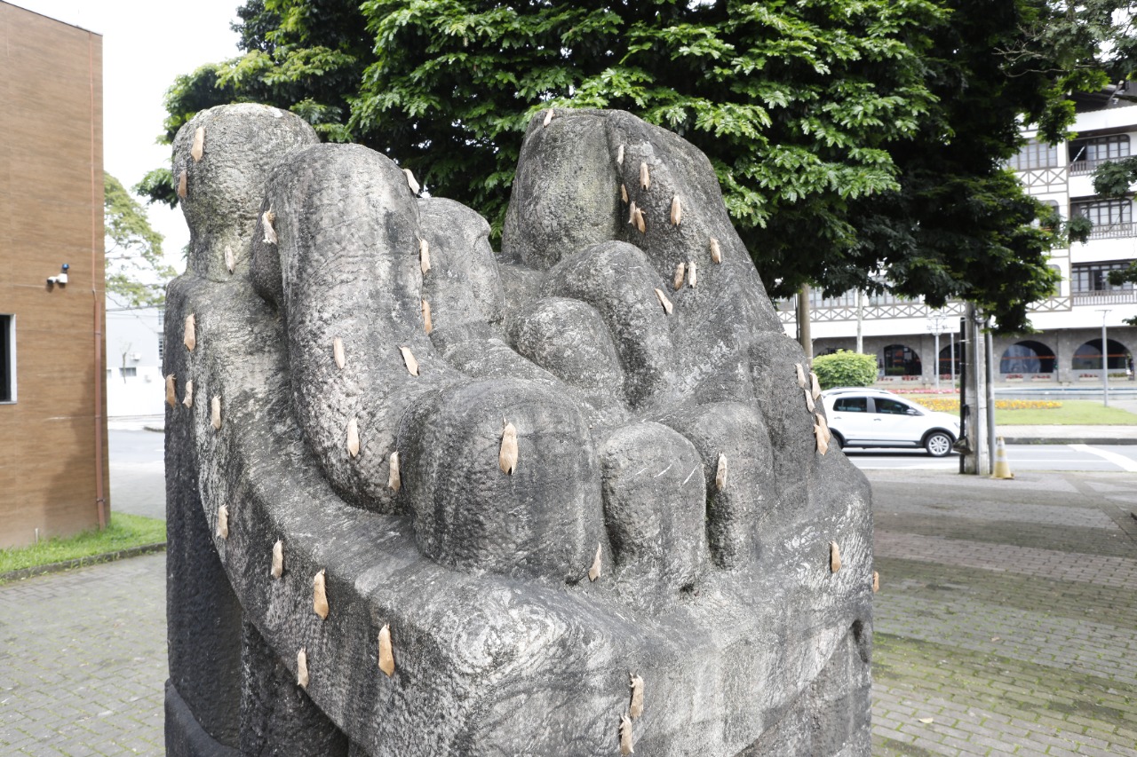 Mariposas no Centro de Blumenau Mariposas no Centro de Blumenau