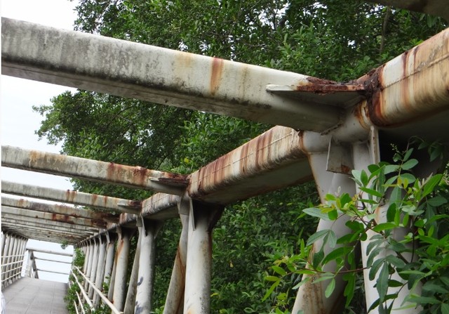 Contato com vegetação aumentou degradação. Relatório de 2018 do TCE-SC já apontava problema no local Contato com vegetação aumentou degradação. Relatório de 2018 do TCE-SC já apontava problema no local