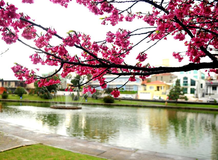 Fundado no século XVIII, o parque Jonas Ramos é protagonista de lendas, mas também de ótimos momentos para quem o visita Fundado no século XVIII, o parque Jonas Ramos é protagonista de lendas, mas também de ótimos momentos para quem o visita