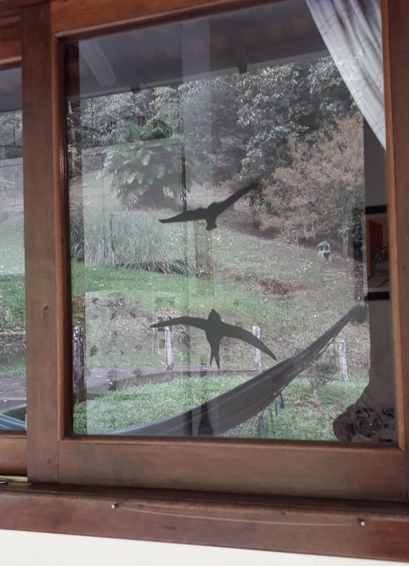 Adesivos que imitam a forma de pássaros têm resultado limitado