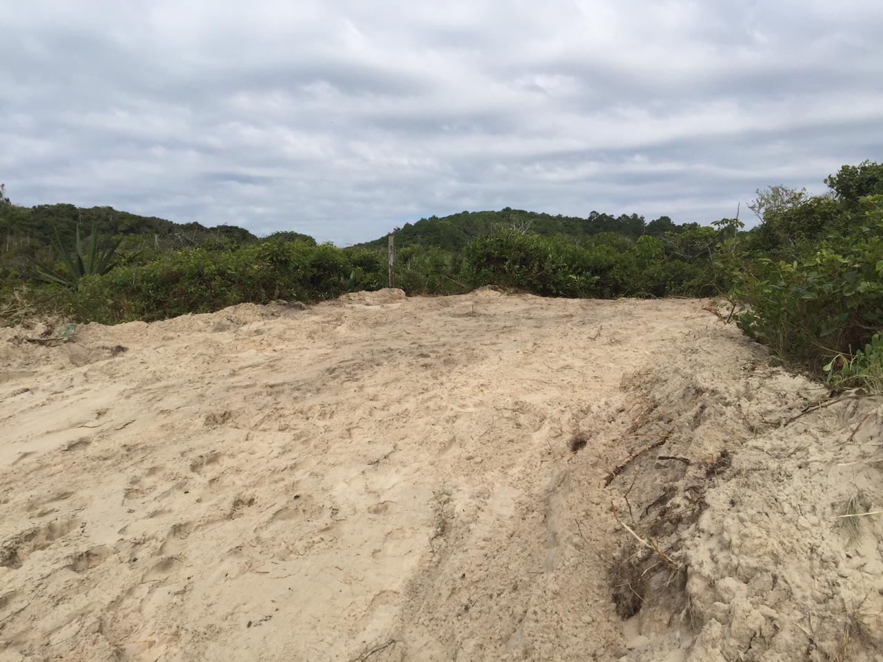 Segundo a PM Ambiental, 115 metros quadrados de restinga foram destruídos Segundo a PM Ambiental, 115 metros quadrados de restinga foram destruídos