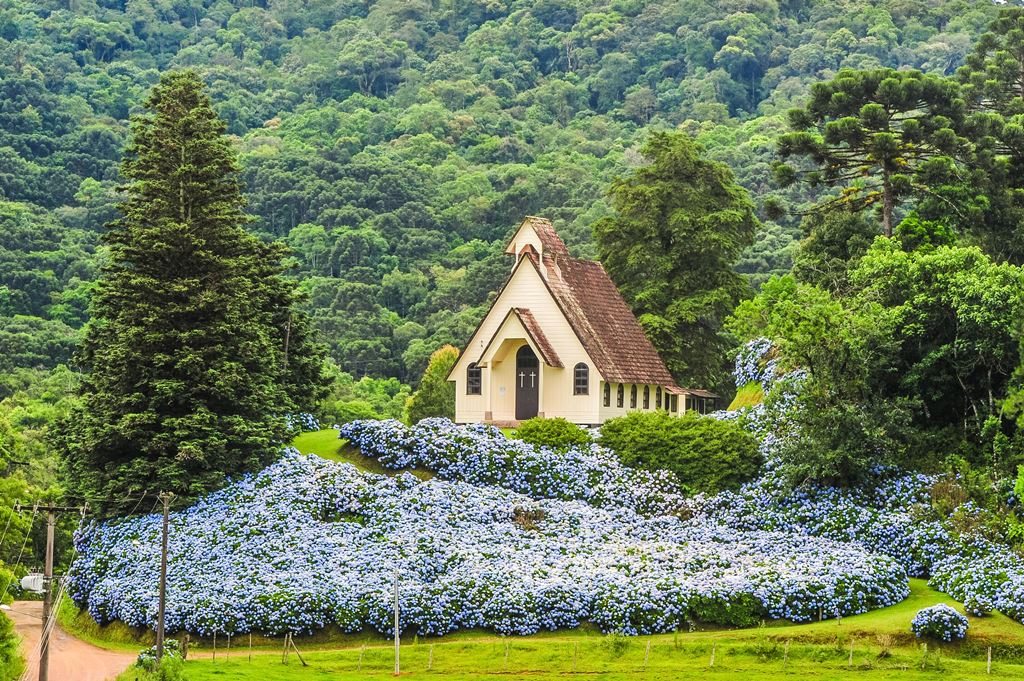 Capela Luterana é ponto turístico da região foto mostra jardim de flores brancas na frente de uma capela