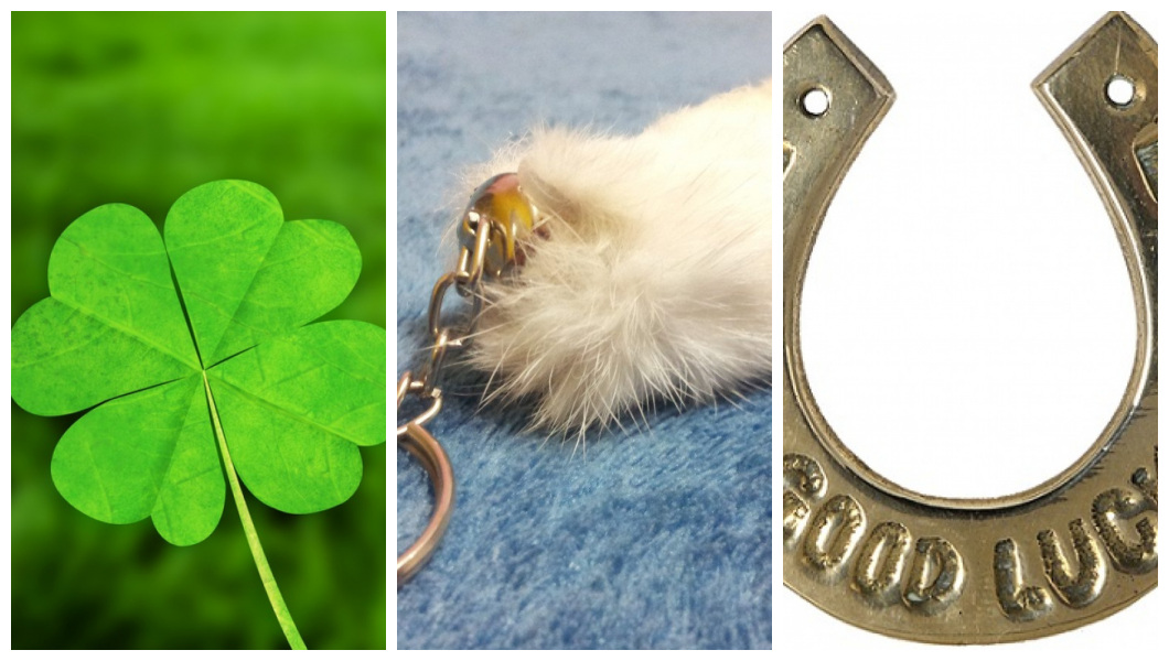 Trevo, chaveiro de pé de coelho e ferradura da sorte