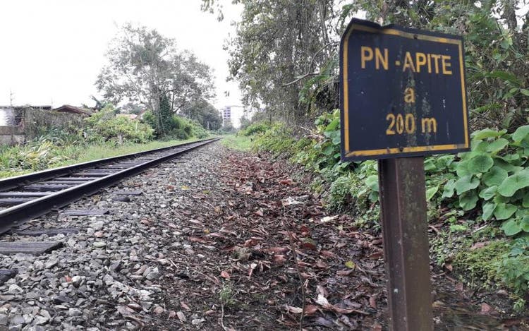Trilhos de trem em Joinville