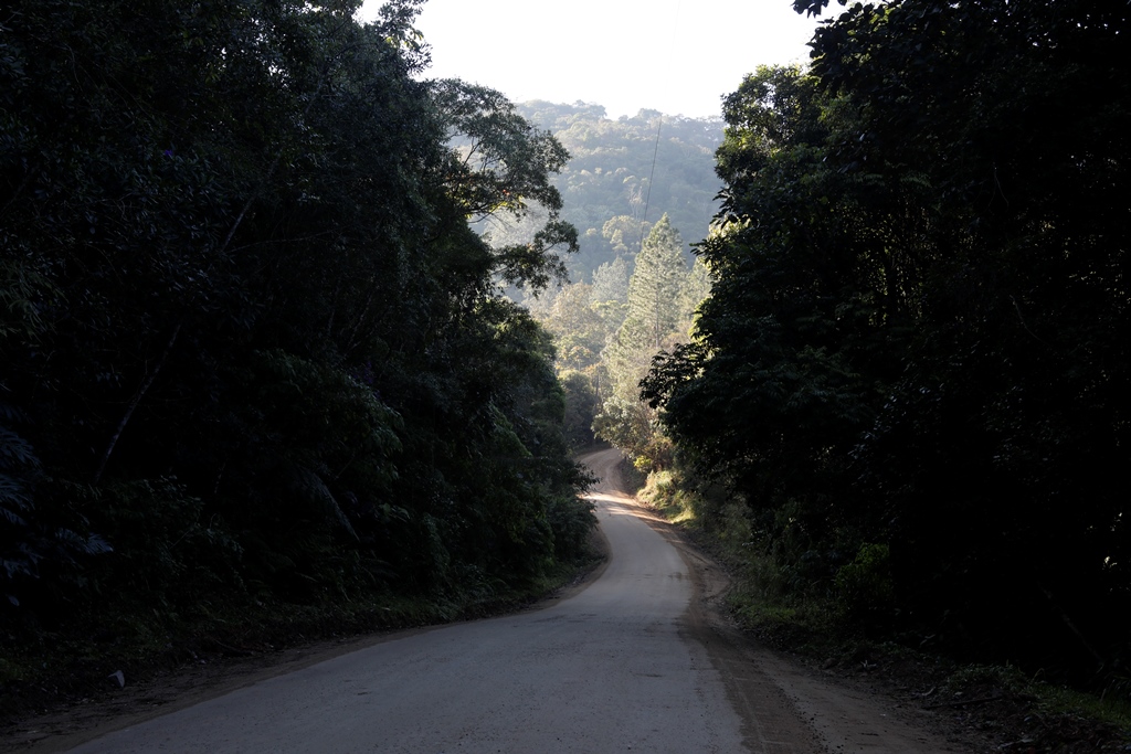 Serviços para reabertura da estrada devem custar até R$ 2 milhões à prefeitura