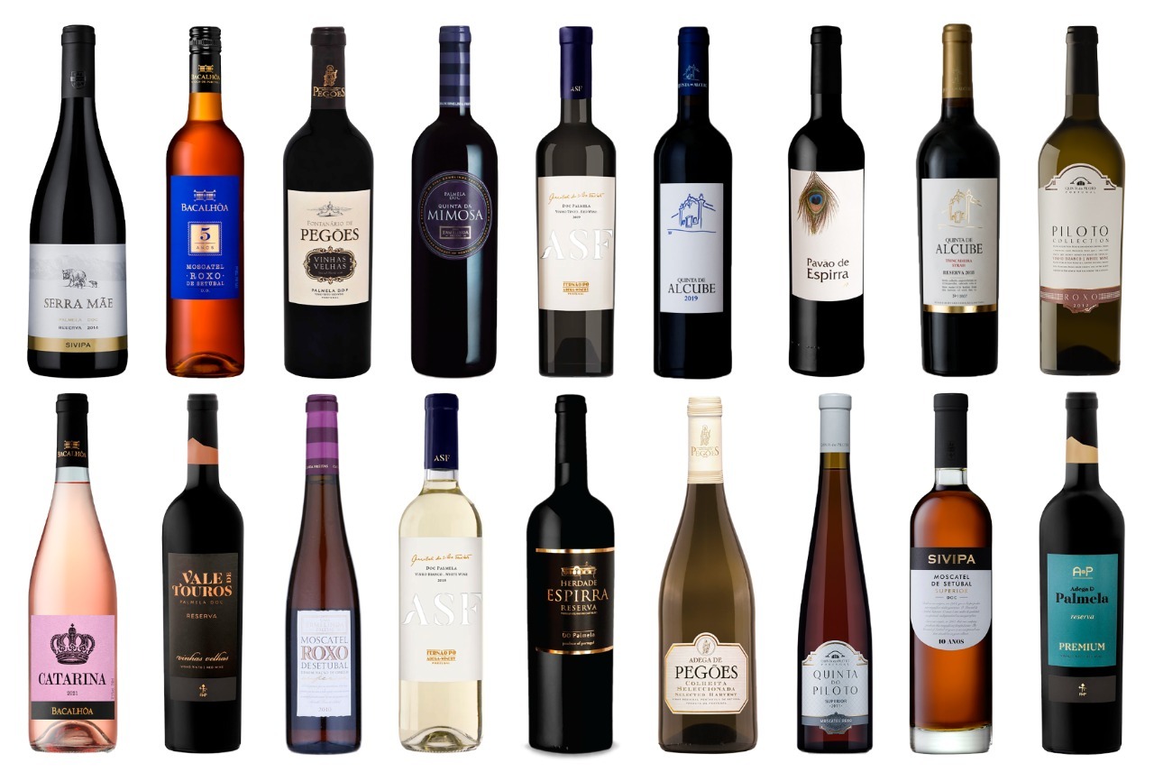 Esses são alguns dos vinhos que serão apresentados durante as aulas 