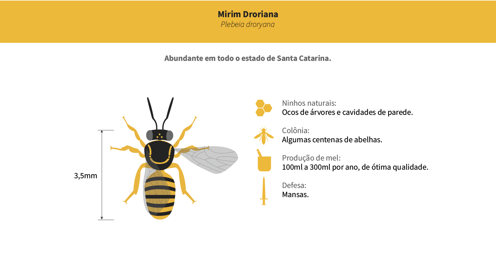 Mirim Droriana