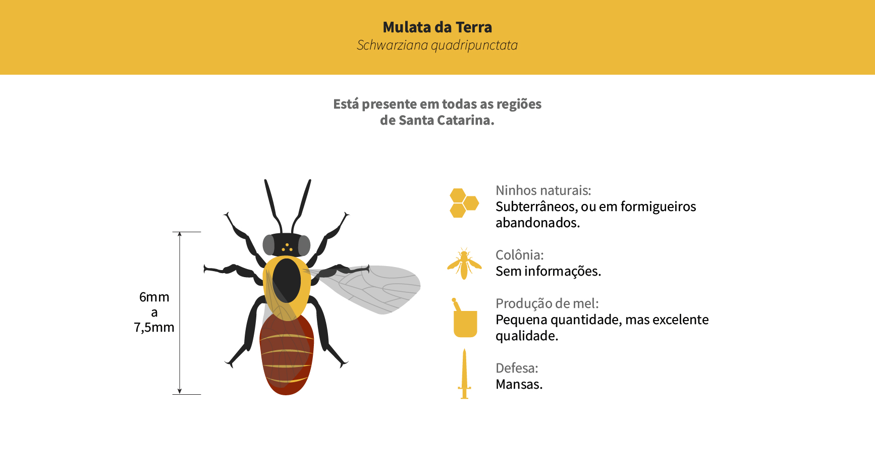 Mulata da Terra